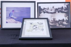 SAC_157_(2)