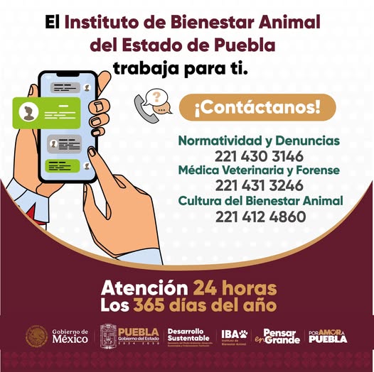 549686225_1089665410004386_118036707174118005_n