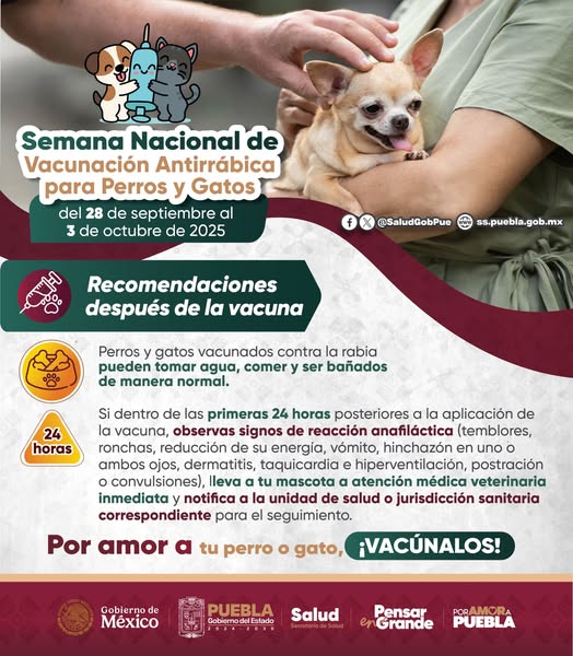 556661286_1101904968781834_6477954390067566007_n