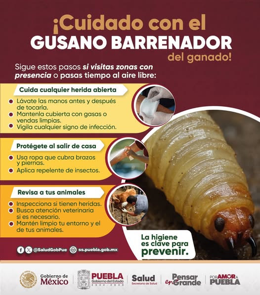 556908392_1100940098878321_6746881691122560746_n