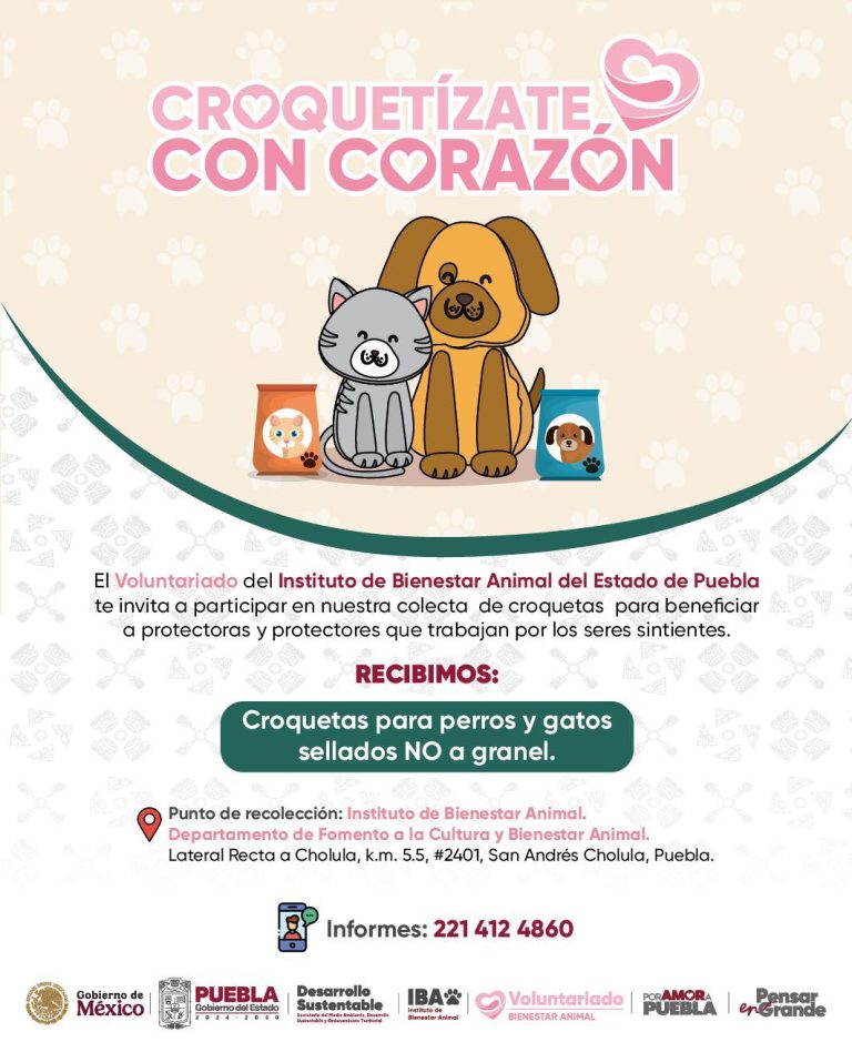 557479103_1098813932422867_773766943162589379_n