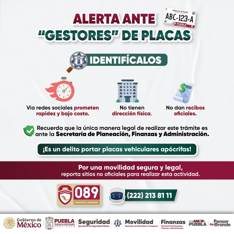 557707263_1135159988793321_6832174130488941456_n