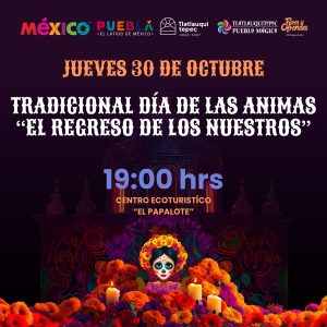 571331078_122194230506561530_4906674520234684200_n