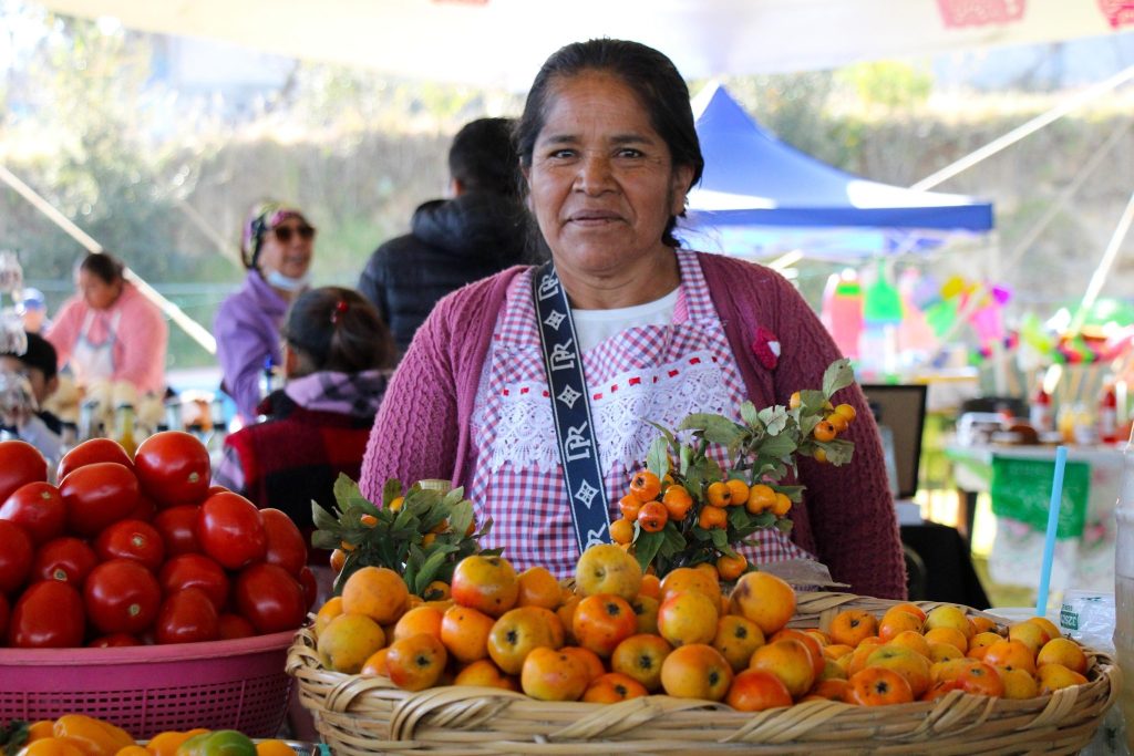 583420218_122193553676565099_4690507946482155088_n