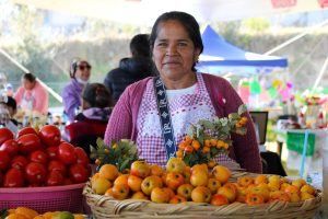 583420218_122193553676565099_4690507946482155088_n