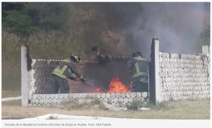 Captura de pantalla 2025-11-15 105542