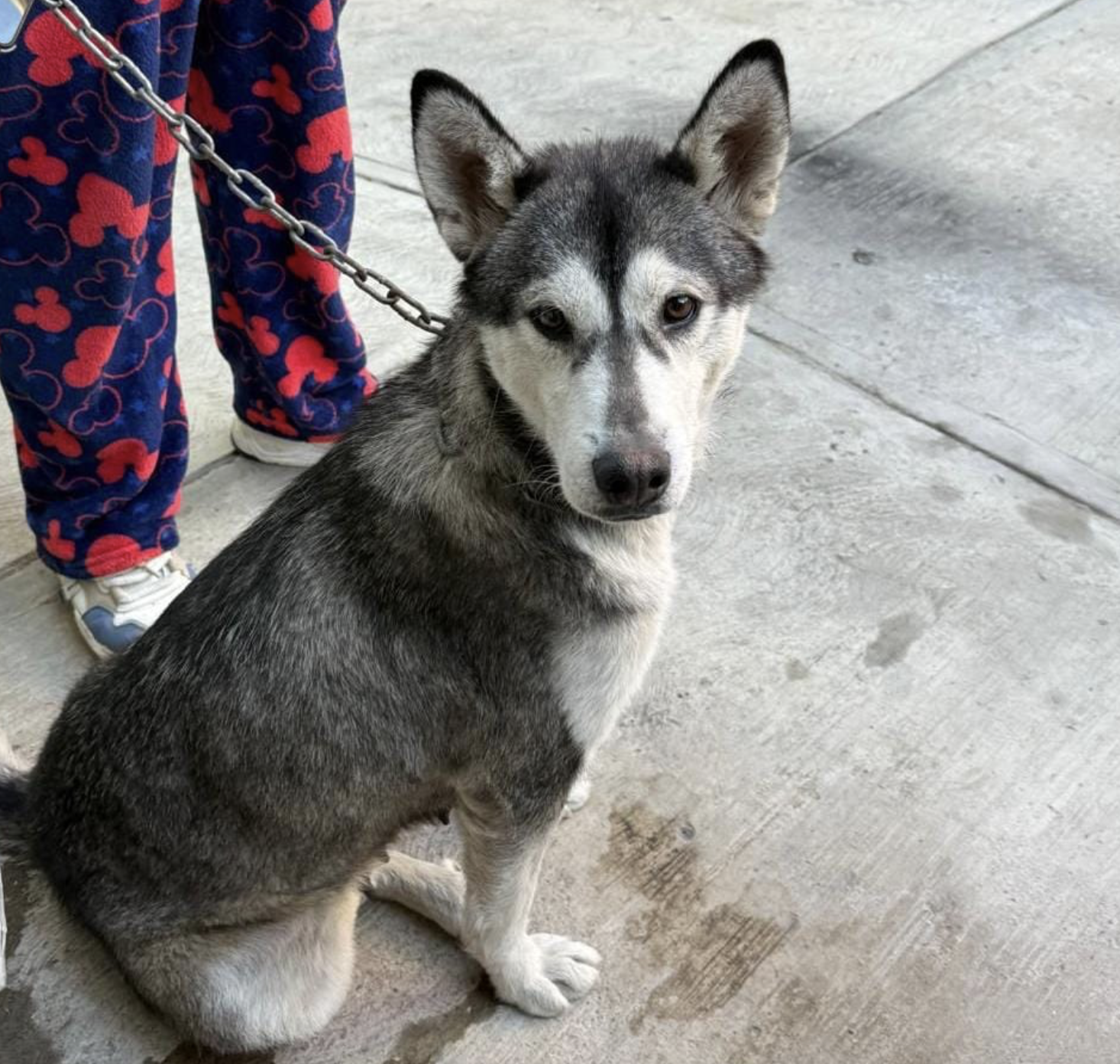 Captura de pantalla 2025-11-16 a la(s) 2.52.10 a.m.